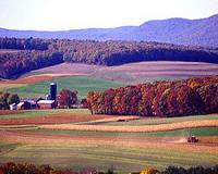 Crops play a major role in the annual CO2 cycle increase