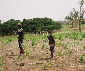 Investors who trample land rights risk bottom line: experts