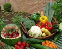 New Method To Help Keep Fruit, Vegetables And Flowers Fresh