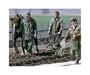 25 years later, Chernobyl fallout still an eco-hazard