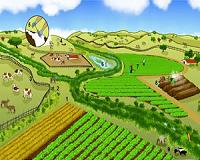 Clearing habitat surrounding farm fields fails to reduce pathogens