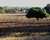 'Land grabbing' could help feed at least 300 million people