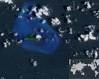 World's corals under threat