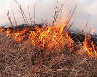 Study: humans first began using fire regularly some 350,000 years ago