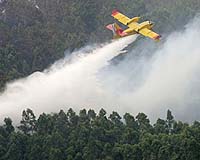 Forest fires force thousands to evacuate in Canada