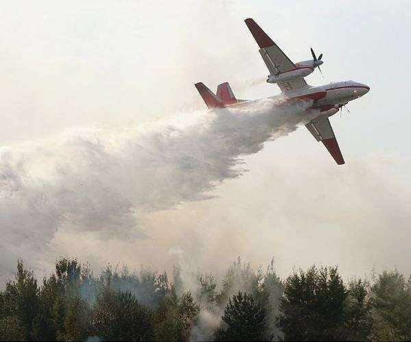 Controlled burning in Greece can help avoid wildfires: WWF