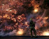 Wildfires spark evacuations in northern California