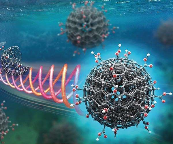 Turning fish waste into quality carbon-based nanomaterial
