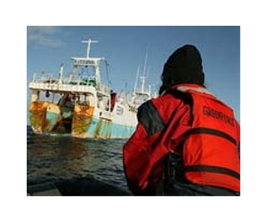 Trawling is changing seafloor habitats: study