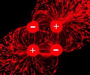 Vacuum-like device makes cellular exploration easier