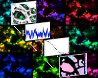 Science provides new way to peer into pores