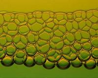 Foam stops sloshing liquid