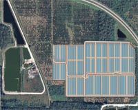 FPL To Build First Commercial-Scale Solar Power Facilities In Florida