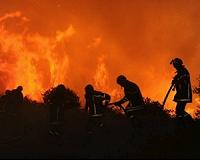 Forest fire in southern France triggers evacuations