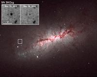 The Prolonged Death of Light from Type Ia Supernovae