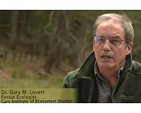 US must step-up forest pest prevention