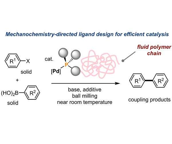 Customizing catalysts for solid-state reactions