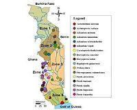 Brakes and hairs from a maiden: The Pteridaceae fern family diversity in Togo