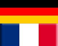 German, French FMs push peace bid in war-torn Ukraine