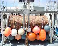 New tool improves fishing efficiency and sustainability
