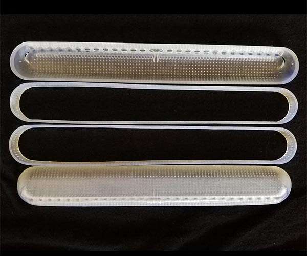 Glass-like shells of diatoms help turn light into energy in dim conditions
