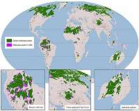 People are pillaging the world's protected areas