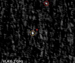 Another black hole in a star cluster