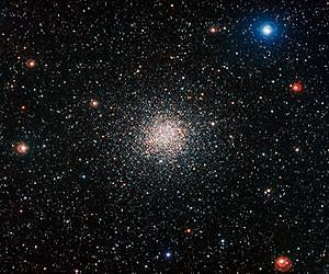 Low-sodium 'diet' key to a stellar old age
