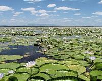 Pursuing poachers, and tourism, to boost Mozambique's conservation