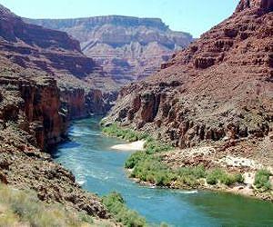Dams destabilize river food webs: Lessons from the Grand Canyon