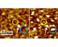 Interlayer distance in graphite oxide gradually changes when water is added