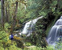 New Wireless Sensor Network Keeps Tabs On The Environment