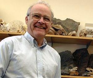 A new theory emerges for where some fish became four-limbed creatures