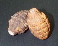 One in three Indian grenades a dud: report