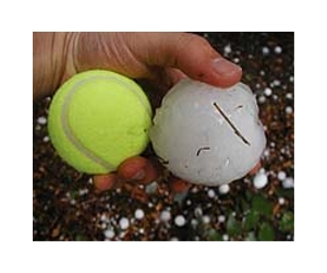 Bacteria creates hail stones: study