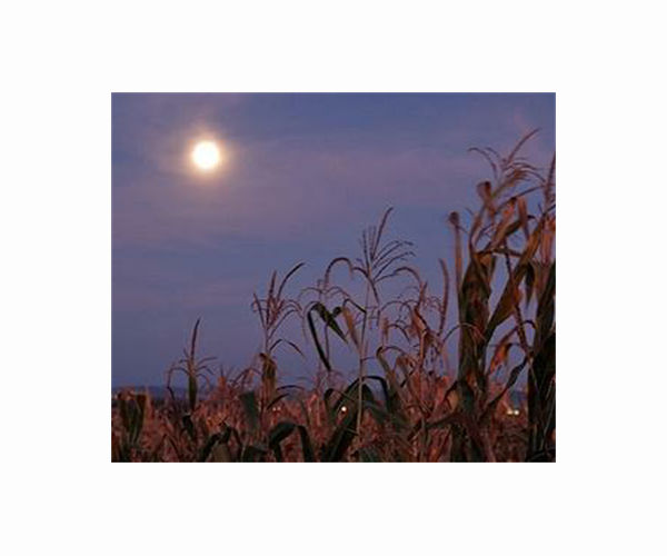 Super Harvest Moon, partial lunar eclipse to combine for rare celestial trifecta