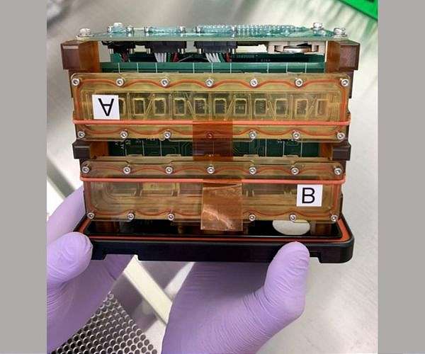 Space-bound heart tissue to aid aging and long-flight studies