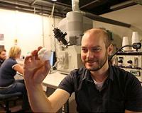 Sea urchin spurs new ideas for lightweight materials