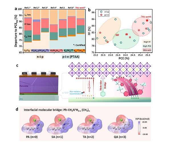 Novel molecular bridge strategy boosts efficiency of perovskite solar cells