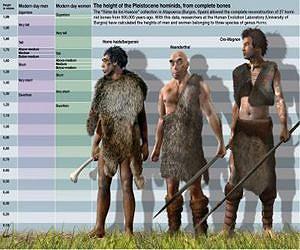 Homo heidelbergensis was only slightly taller than the Neanderthal