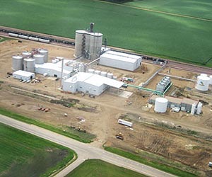 A Stable Renewable Fuel Standard Is Needed to Meet Biofuel Production Goals