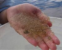 'Aquatic osteoporosis' jellifying lakes