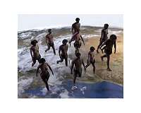Dryer, less predictable environment may have spurred human evolution