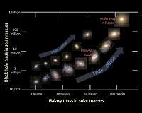 How galaxies die and the quenching of star formation