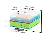 A solar cell that does double duty for renewable energy