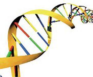 Major advances in understanding the regulation and organization of the human genome