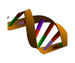 DNA study suggests Asia was settled in multiple waves of migration