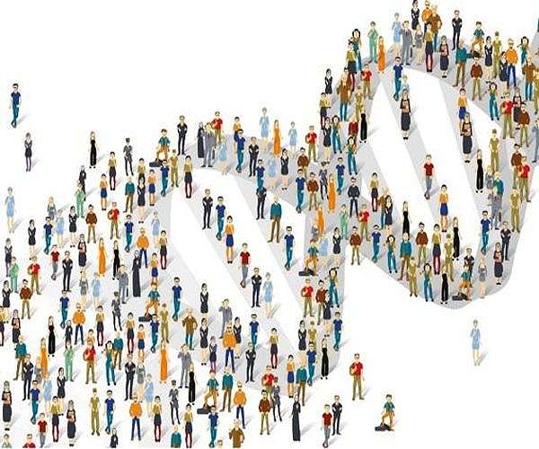 Scientists reveal more inclusive update to human genome