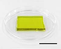 A new way to cool down electronic devices, recover waste heat