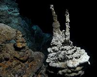 Researchers discover missing link in the evolution of complex cells